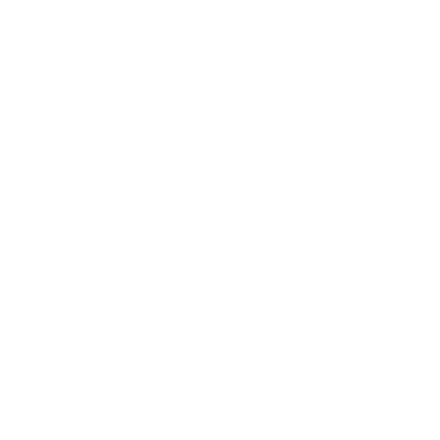 Birdie Disc Golf Supply