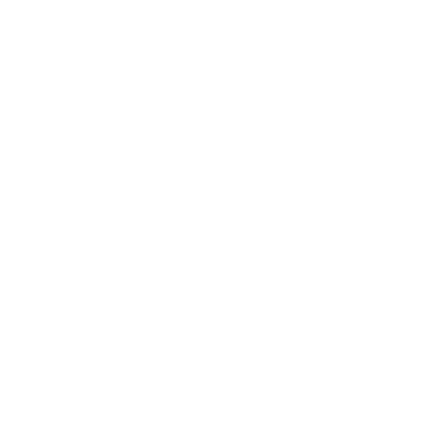 Finish Line Discs