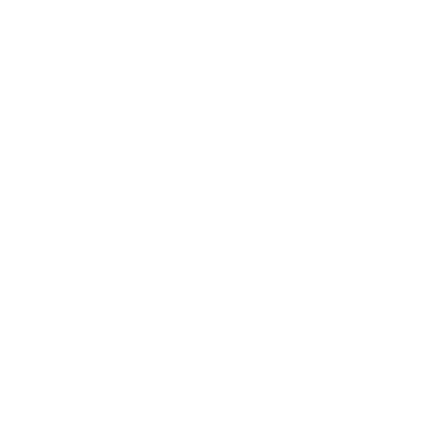 Lone Star Disc