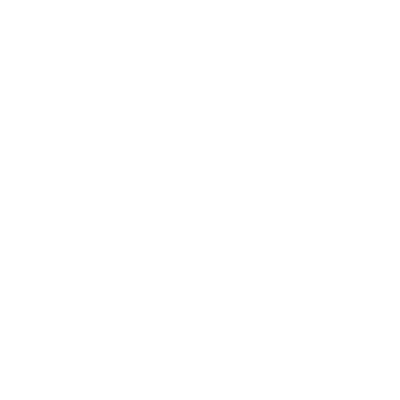 Mint Discs