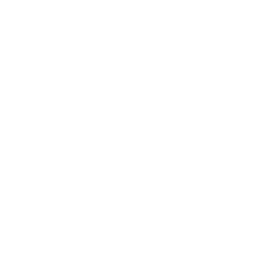 Prodigy Discs