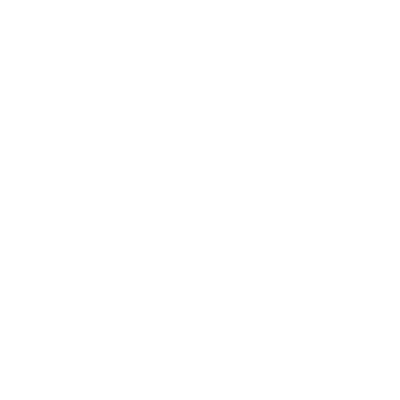 Wild Discs