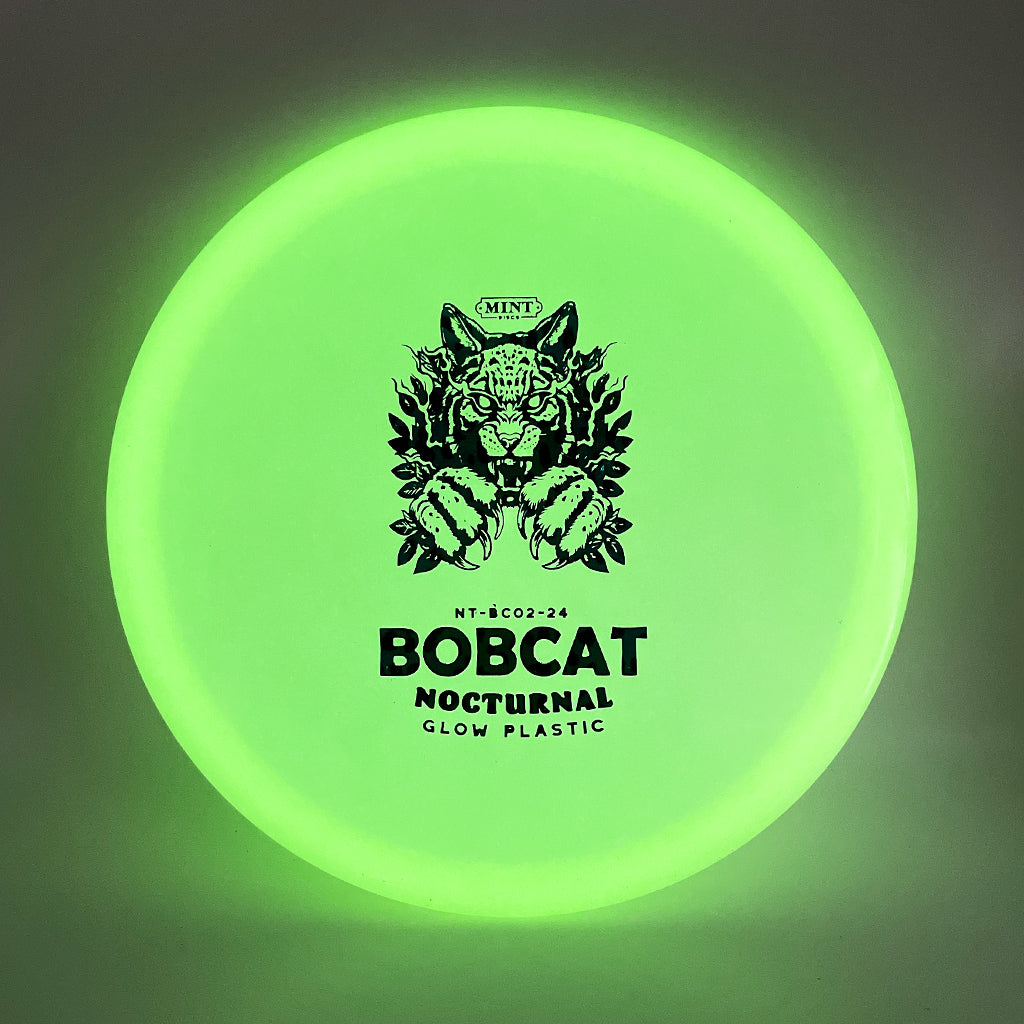 Nocturnal Bobcat